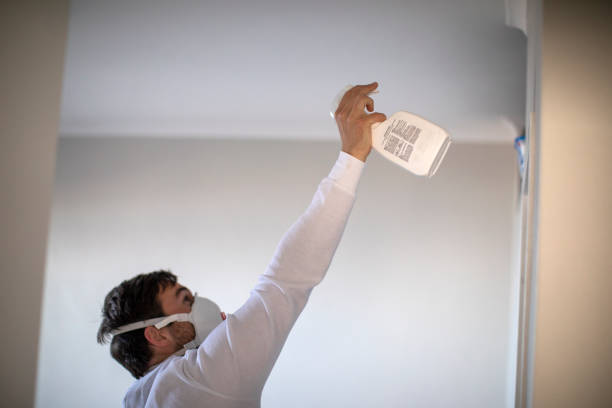 Best Professional Mold Removal  in Ladonia, AL