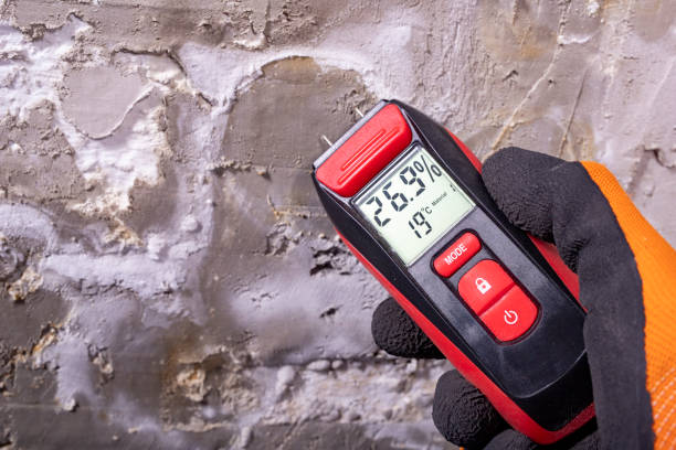 Best Mold Testing  in Ladonia, AL