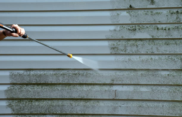 Best Professional Mold Removal  in Ladonia, AL