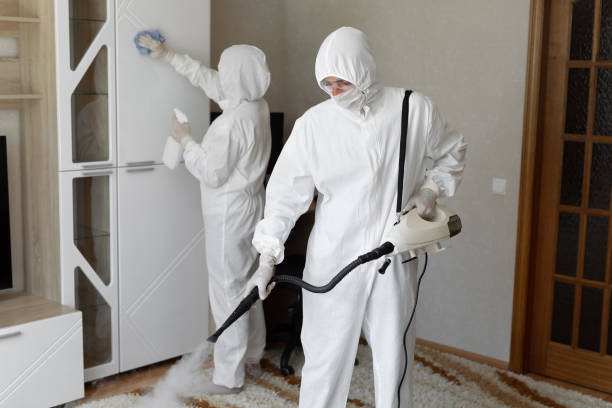 Best Attic Mold Removal  in Ladonia, AL