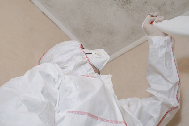 Best Water Damage Restoration  in Ladonia, AL