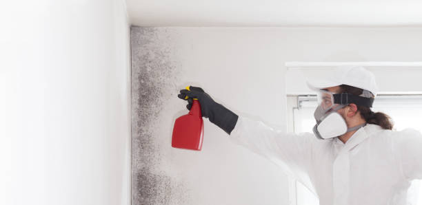 Best Residential Mold Removal  in Ladonia, AL