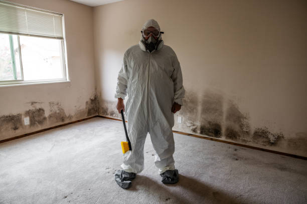 Best Home Mold Removal  in Ladonia, AL
